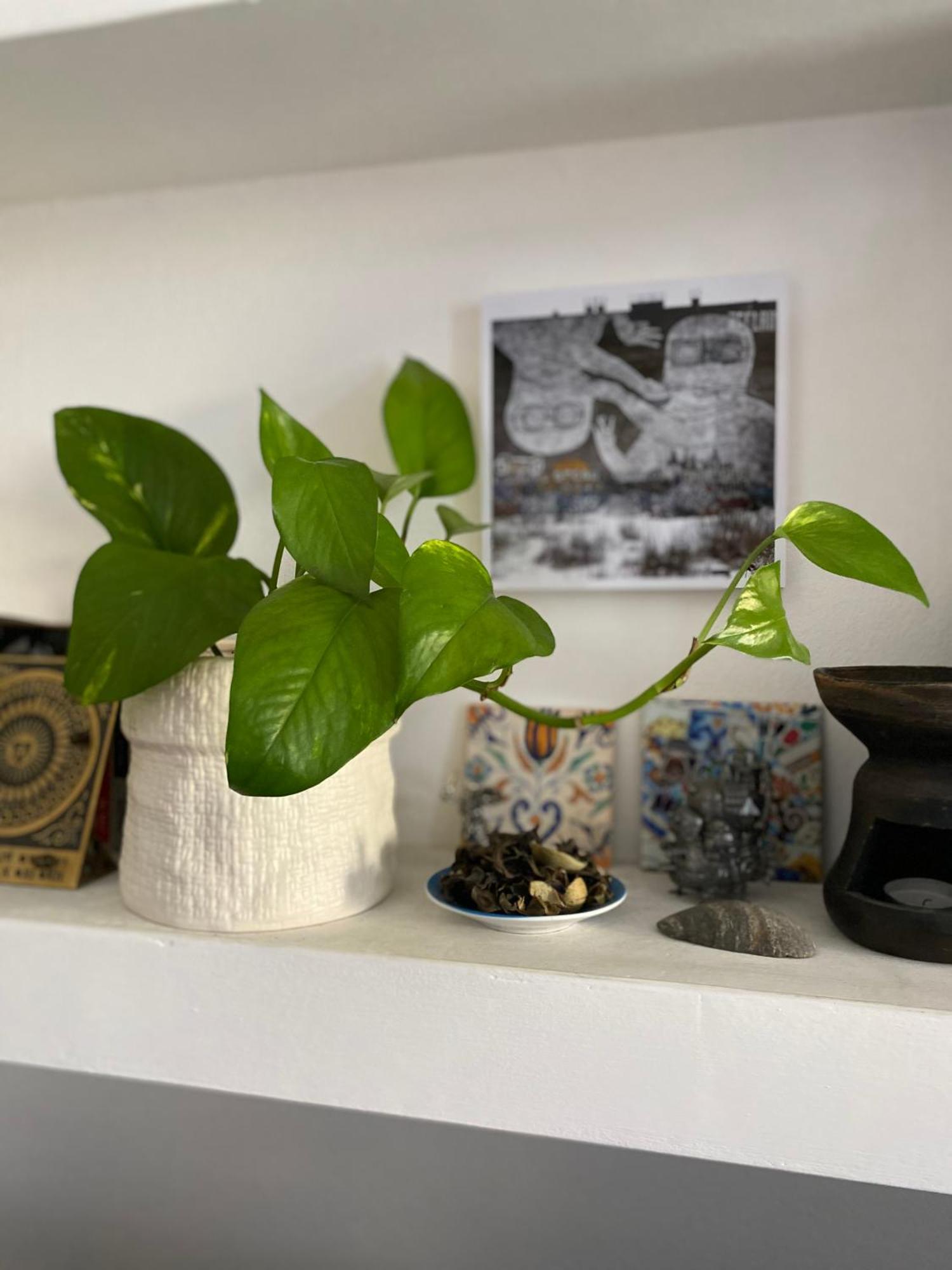 Appartamento Bilocale - Milano Zona Isola 外观 照片